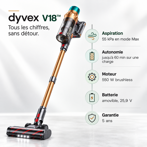 Aspirateur balai sans fil Dyvex V18